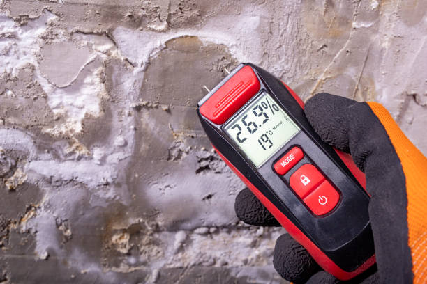Best Mold Testing and Inspection Services in West Sacramento, CA